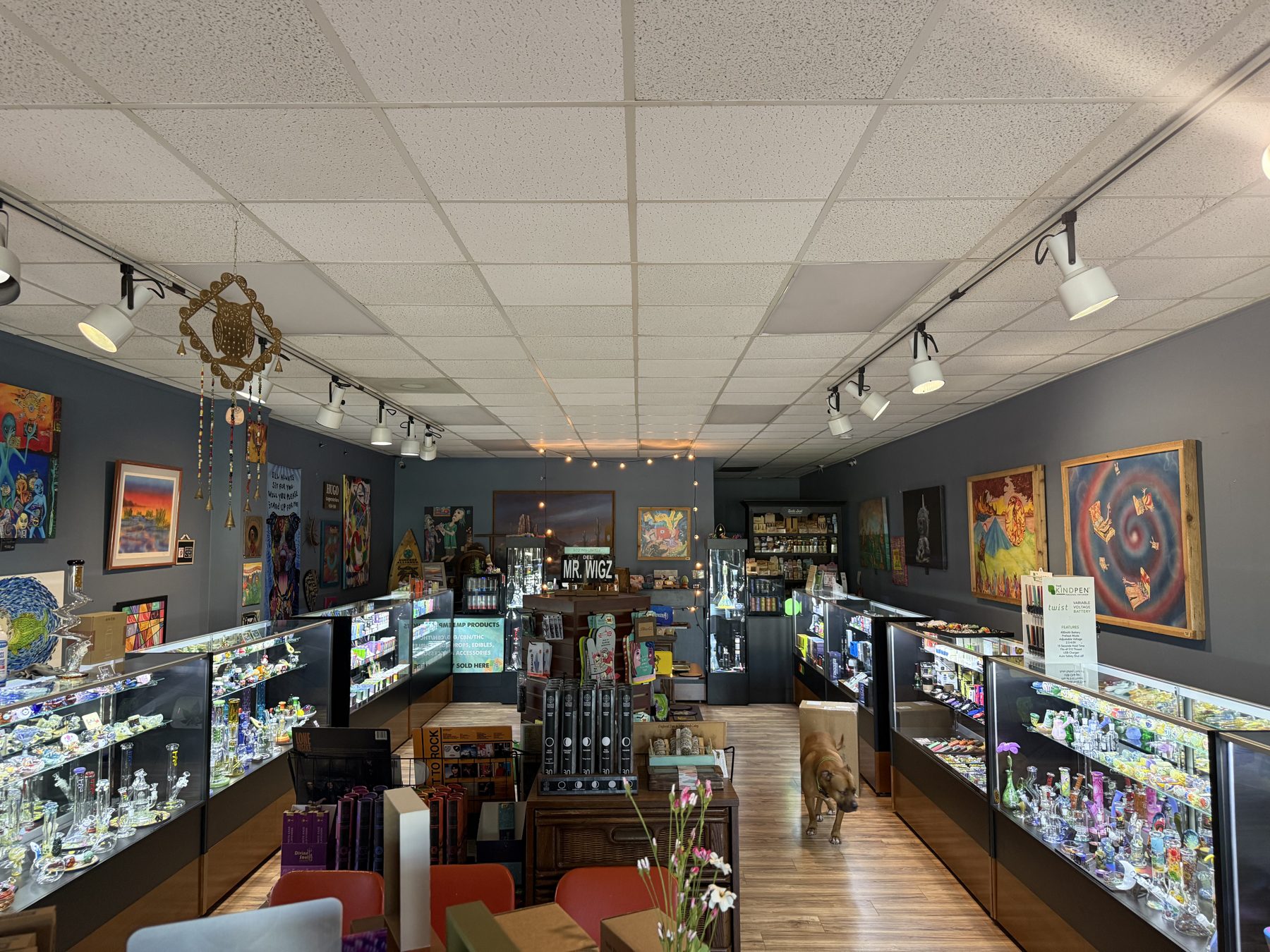 Inside Mr. Wigz with local art, glass cases, and warm light down the aisle