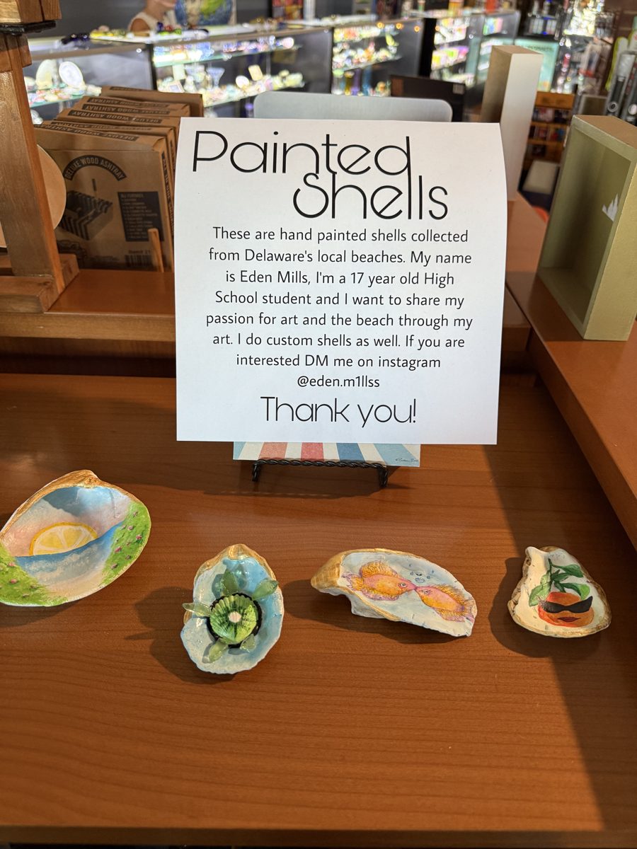 Handmade painted shells from a local maker